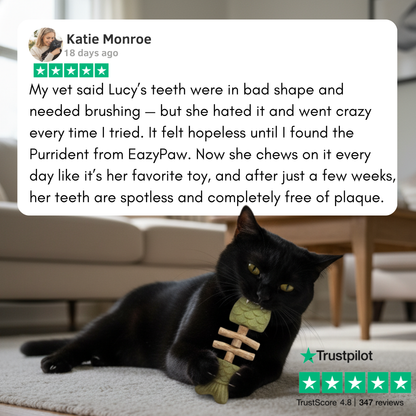 PurriDent | Fix Cat Dental Health!