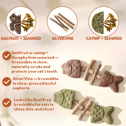 PurriDent | Fix Cat Dental Health!