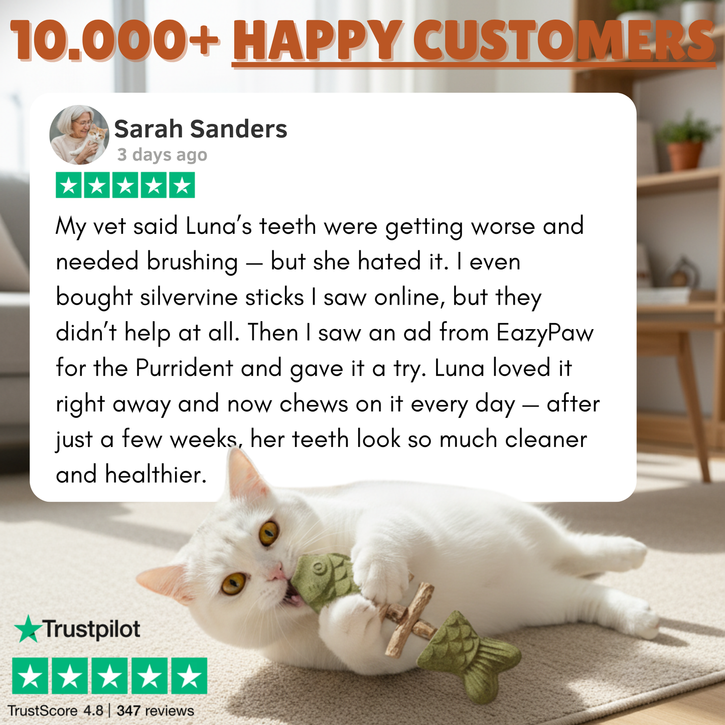 PurriDent | Fix Cat Dental Health!