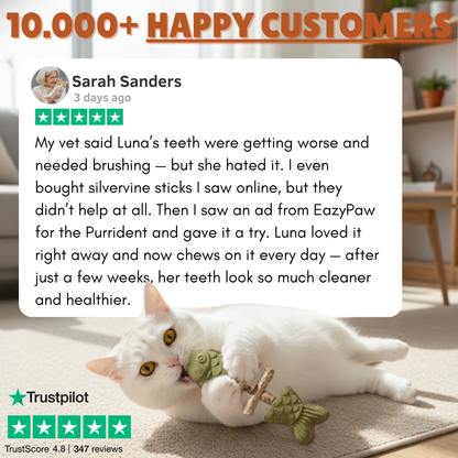 PurriDent | Fix Cat Dental Health!