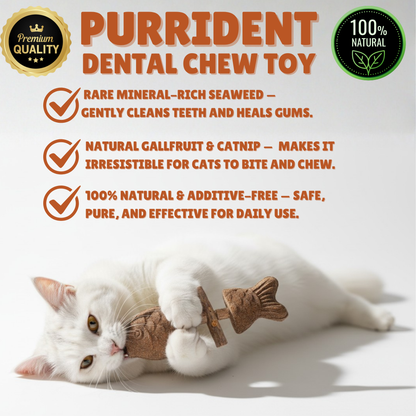 PurriDent | Fix Cat Dental Health!