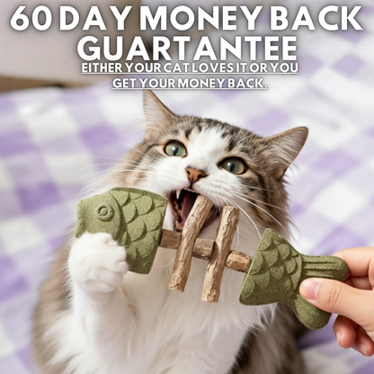 PurriDent | Fix Cat Dental Health!