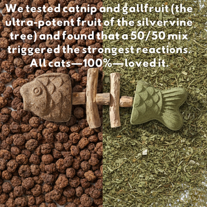 PurriDent | Fix Cat Dental Health!